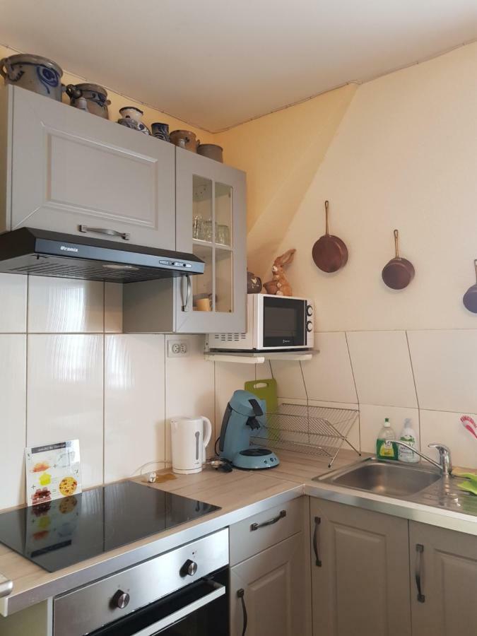 Appartamento Ganzaliesele Colmar Esterno foto